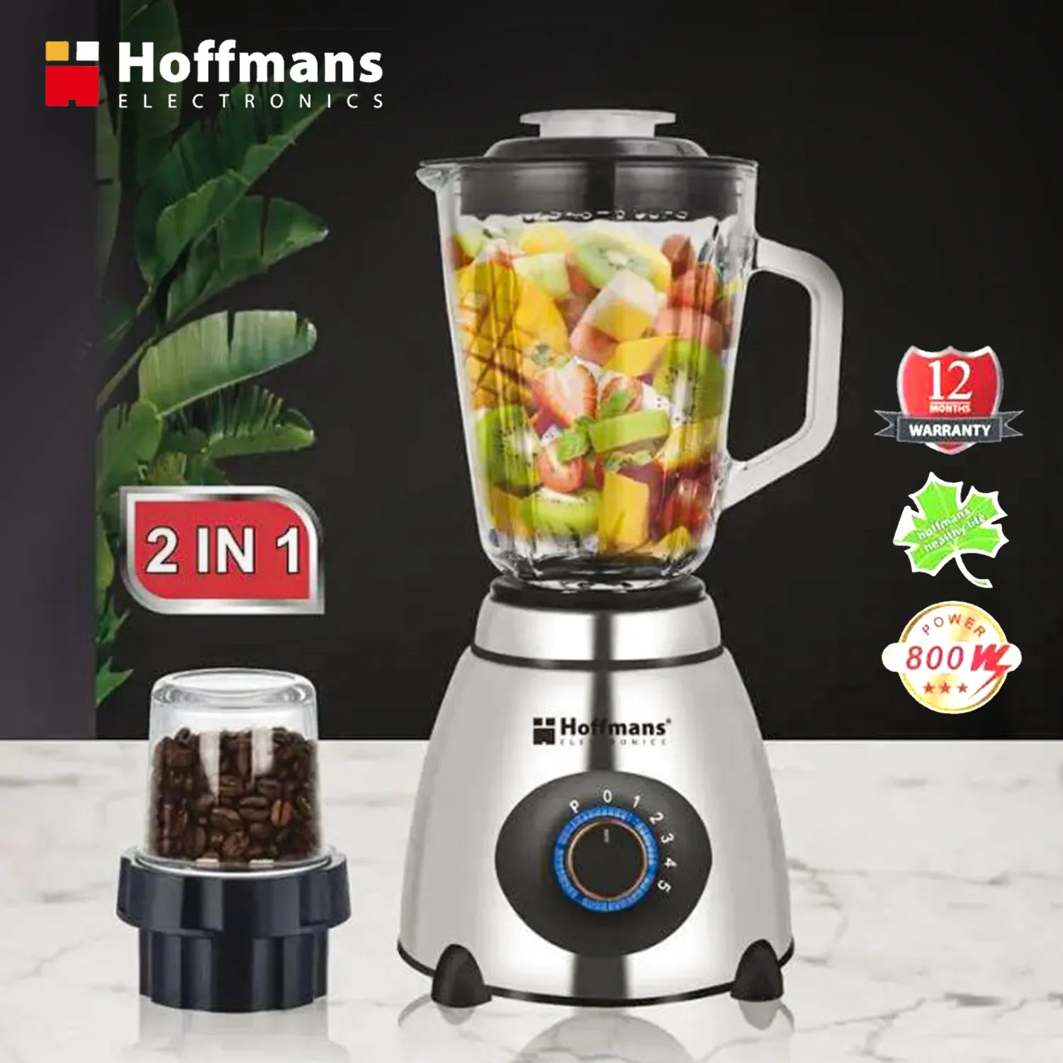 Hoffmans 2-in-1 800W Blender powerful features